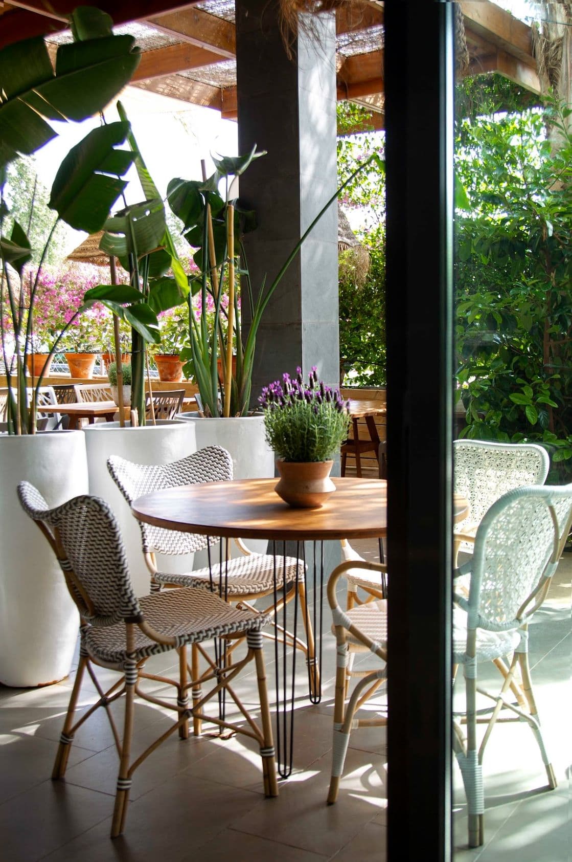 logotipo letras tictaco logotipo letras tictaco